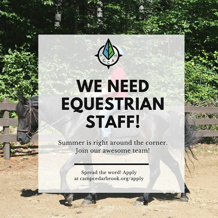 If you know anyone with a passion for horses, we are looking for equestrian staff for our barn this summer! Find out more information and apply at ift.tt/2ucnrPI