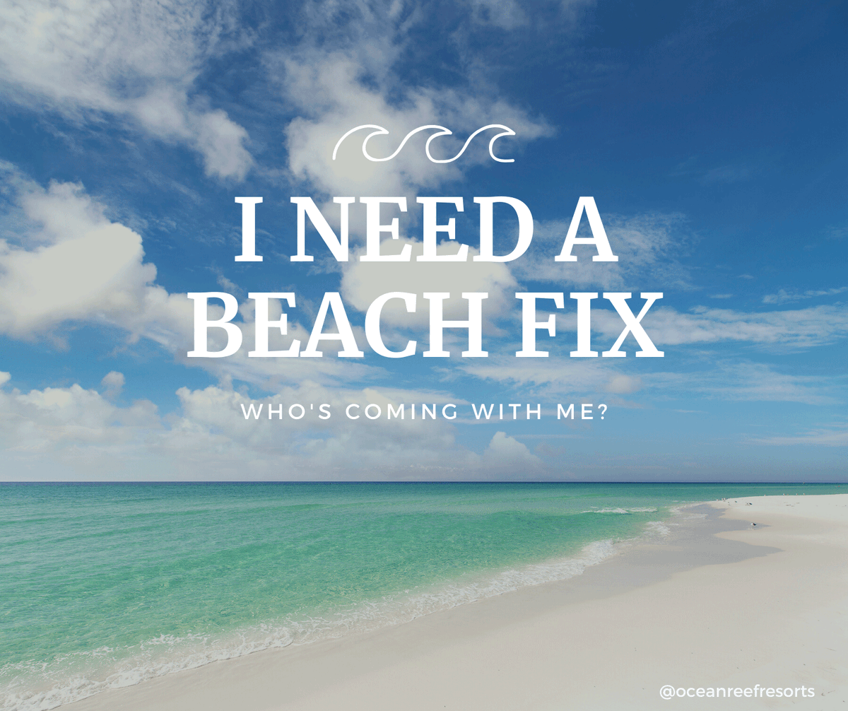 TheOceanReef's tweet photo. Anyone else need a beach fix?
#beachfix #beachgirl #beachLover
#Destin #SouthWalton #30a https://t.co/IvrPY7l3aU