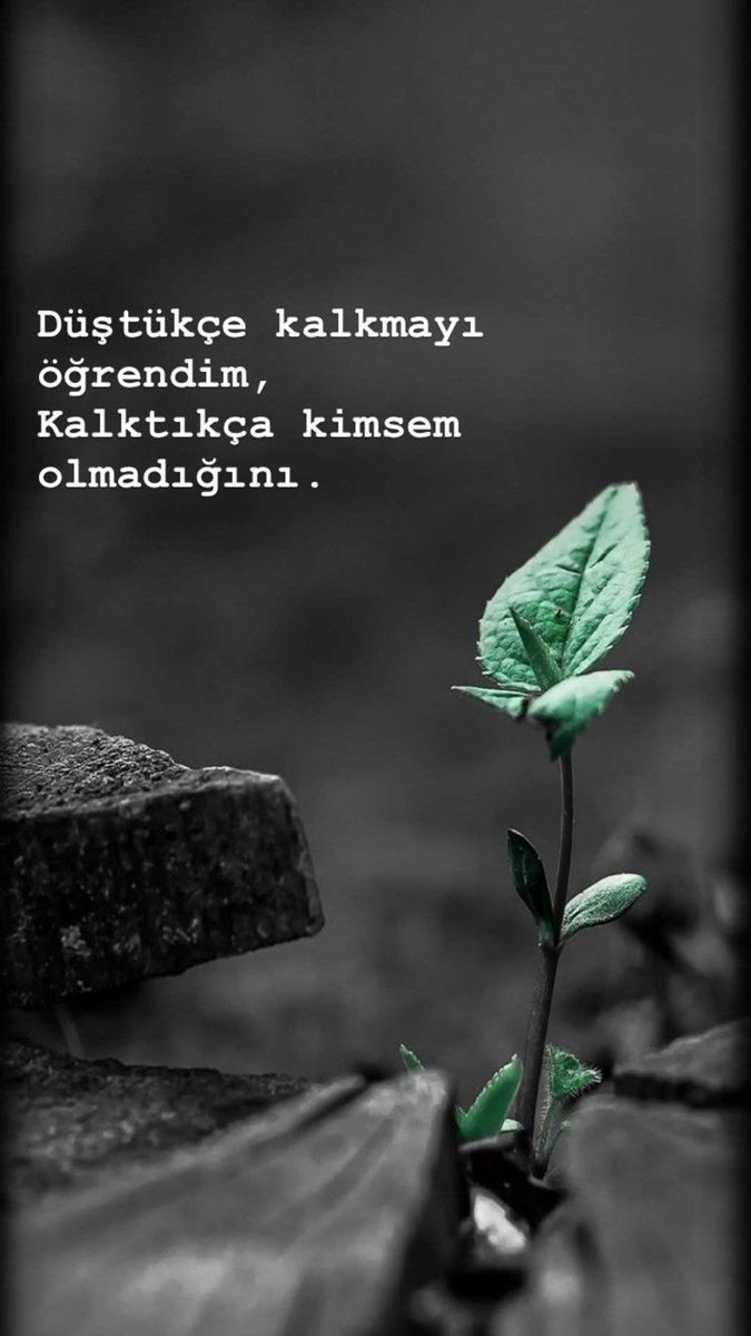 Selim BAŞPINAR tweet media