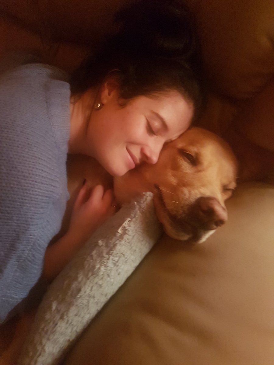 MikeBarbourSTEM's tweet photo. We love the Lou-man everyday but today we will spoil him just a little more! 

Happy #LoveYourPetDay 

#myrescuedogrescuedme #love #dog #goldenlab #mix #gooddog #bestfriend #amazingdog #louman #loubegga #loup #louferrigno #lulu #bestboy #whosagoodboy #bellyrubtheif #coolestdog https://t.co/I6lvGWuC32