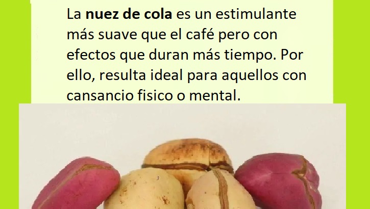 Conoce más beneficios y contraindicaciones de la nuez de cola aquí: remediospopulares.com/nuez-cola-bene…