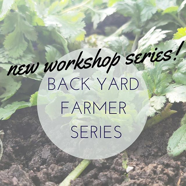 Endeavour Centre tweet media