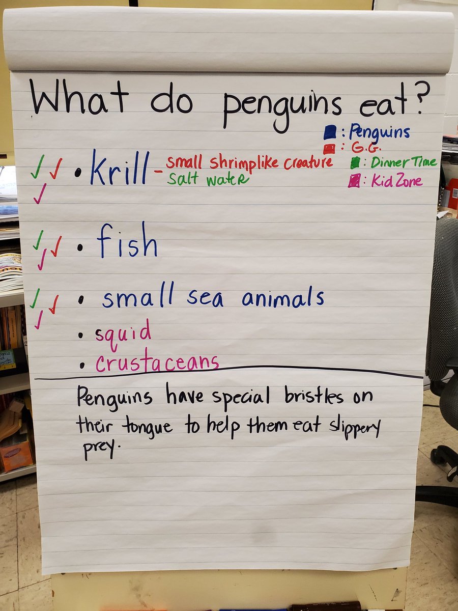 MamaMessyBun1's tweet photo. Penguin research! We used 4 different forms of non-fiction texts to gather and check our information about what penguins eat. Tomorrow we will learn to use this to build a paragraph!
#nbtweets 
@NBSTL https://t.co/uExX9wjK8a