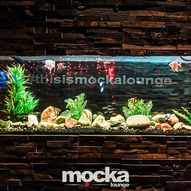 ✧ Mocka Lounge ✧ tweet media