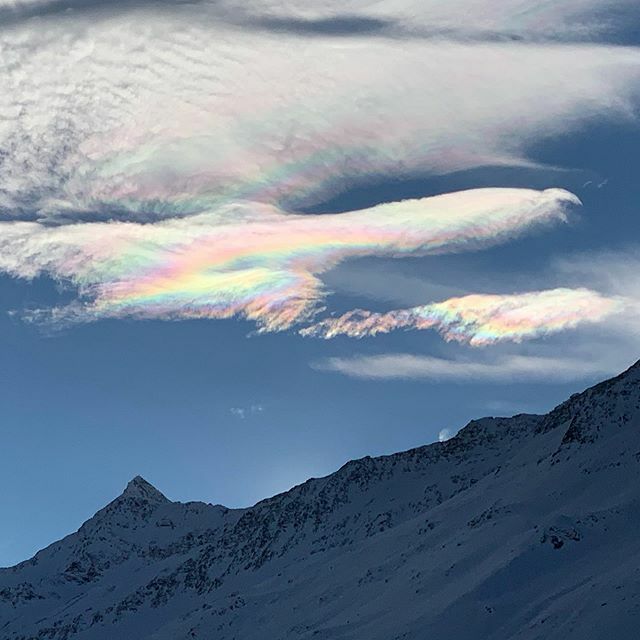 Nick Moss tweet media