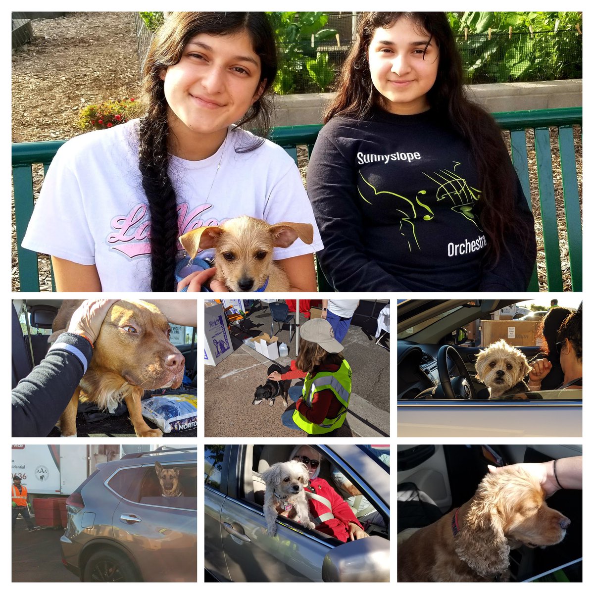 KPB_AZ's tweet photo. In honor of #NationalLoveYourPetDay, enjoy a little photo collage we put together of the furry 4-legged cuties that are spotted at the KPB garden & at ♻️events!
Pups care about the environment too!!
🐕🐶🧡💛🌎♻️🌻
#LoveYourPetDay
#GardenDogs
#RecycleDogs
#DoBeautifulThings https://t.co/GTqm27c0Bx