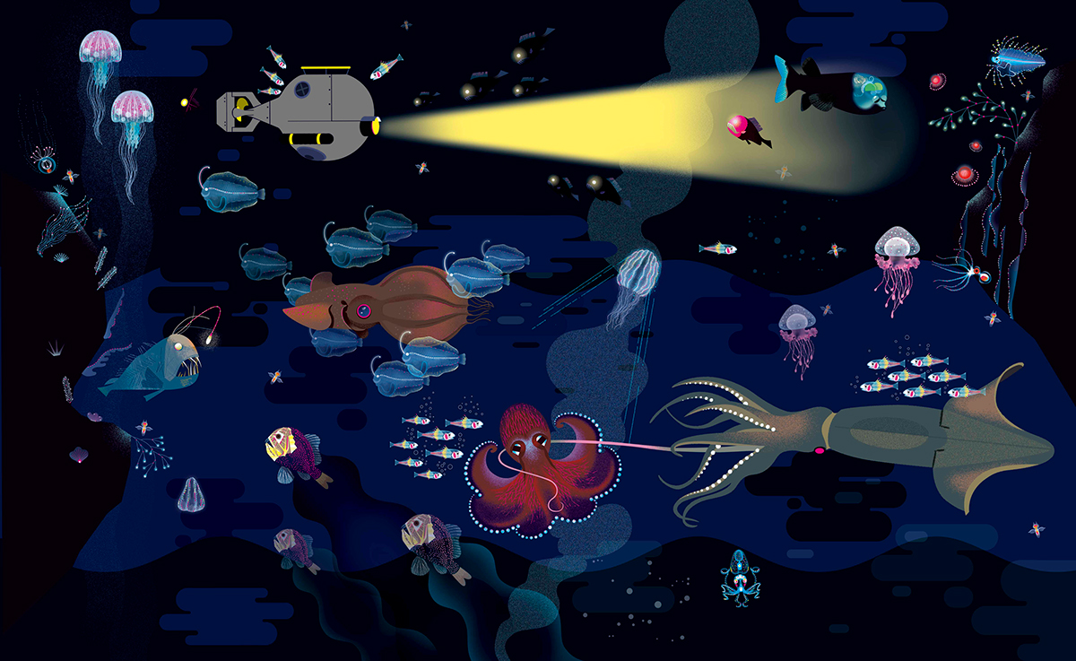 creativecloud's tweet photo. From the surface to deep below, tour the ocean in this illustrated series by Lucie Brunellière, designed using @Photoshop: https://t.co/PxTgsUgsWn https://t.co/pkoKWZPHN9
