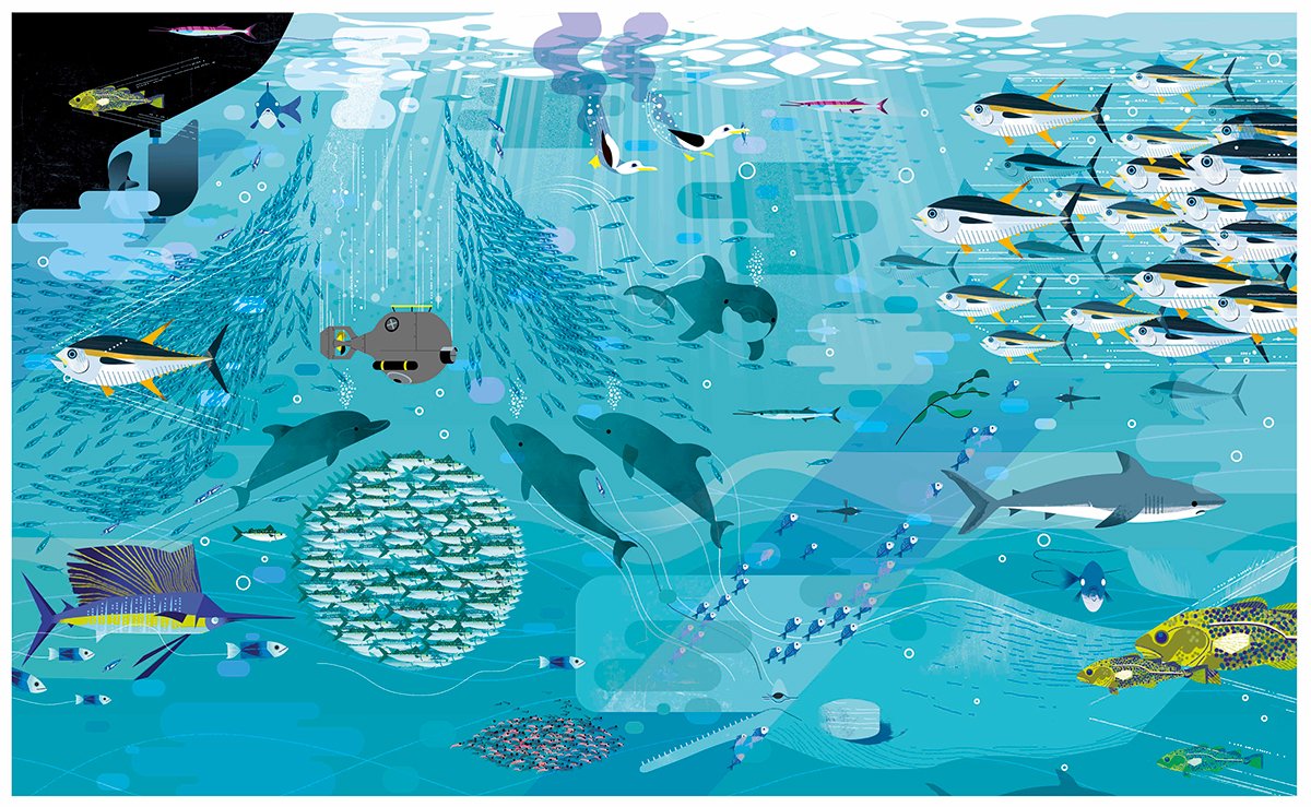 creativecloud's tweet photo. From the surface to deep below, tour the ocean in this illustrated series by Lucie Brunellière, designed using @Photoshop: https://t.co/PxTgsUgsWn https://t.co/pkoKWZPHN9