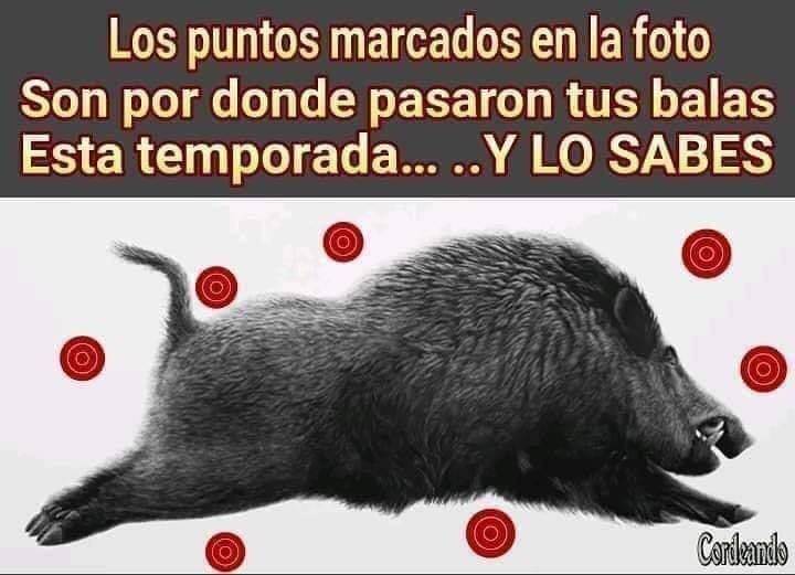 JesusLancho4's tweet photo. Ese soy yo 🐗🐗😔😔 https://t.co/8IPQ0LM0Wl