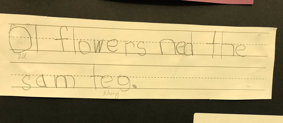 Melanie Williamson tweet media