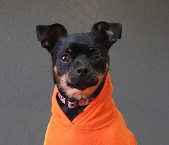 Reaction tweet media