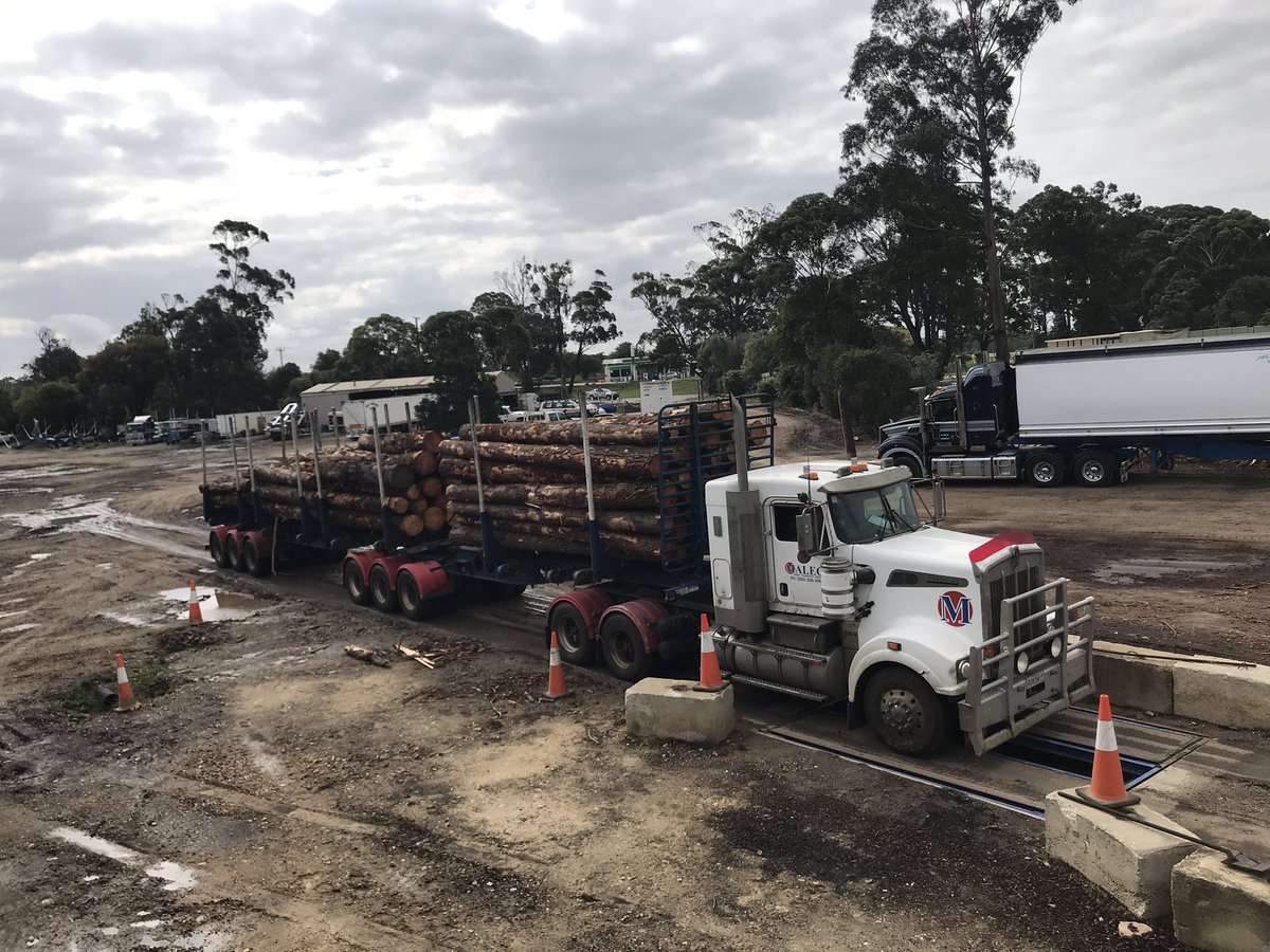 Paul Murphy tweet media