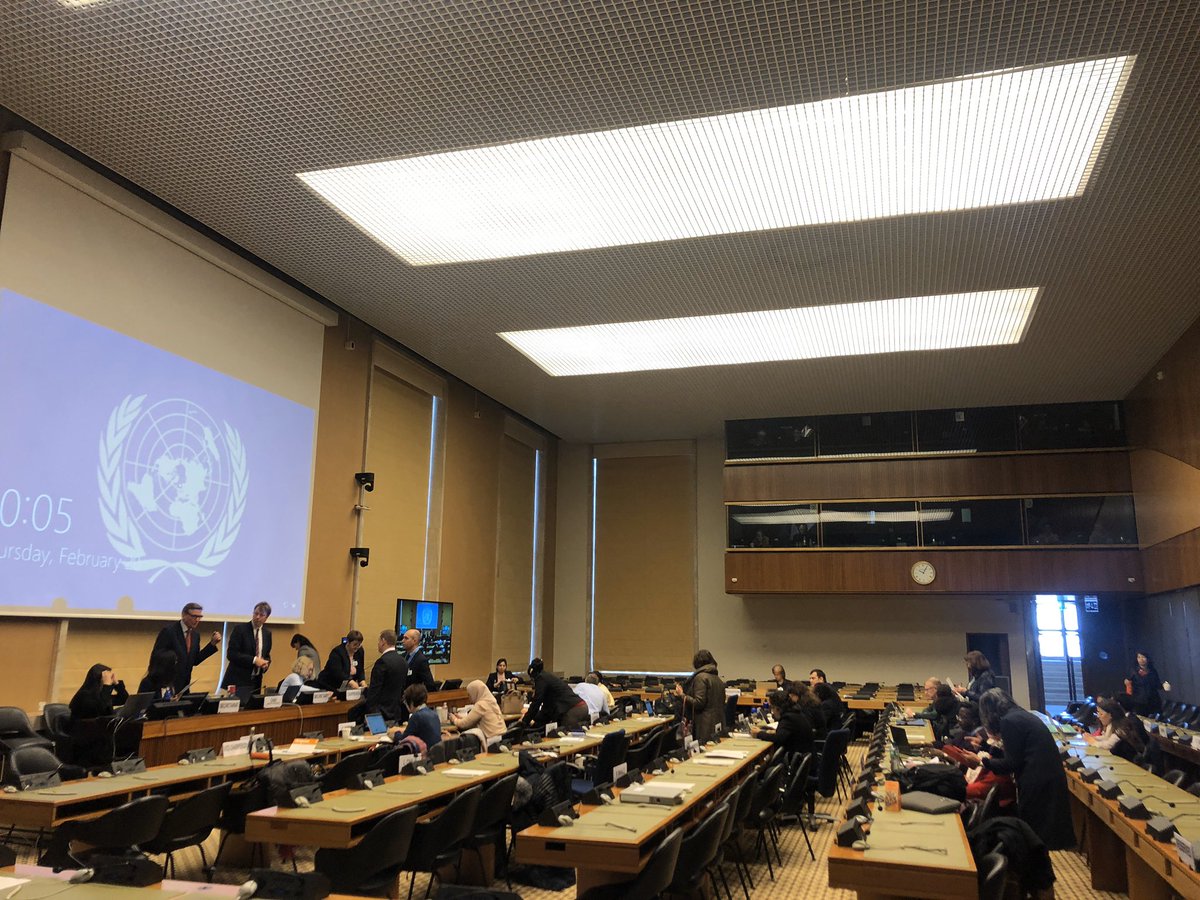 avremis19's tweet photo. Today had the opportunity to see the #Moldova Constructive Dialogue @ #CEDAW75 as part of CSOs 🇲🇩 An amazing opportunity the past week to be involved in advocacy work as a volunteer for Platform4GenderEquality in 🇲🇩 #GenerationEquality #WomenRights #OrangetheWorld #GBV #CEDAW75 https://t.co/WpxytsmeDV