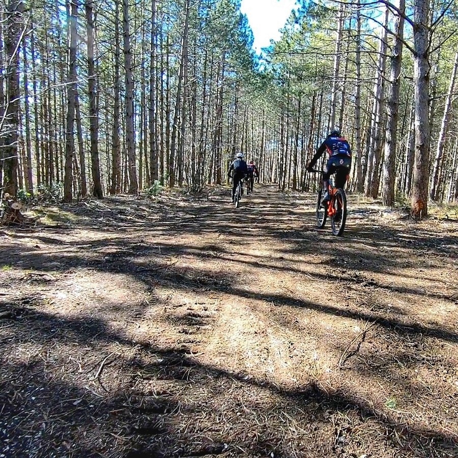 paleguerruhero's tweet photo. Sui sentieri della #PGH2020 la pineta del Monte di Pale #Pale 
#Foligno #Umbria 
@bicimagazineit @MTB_VCO @mtbmagcom @MtbTalks 
 #hero #Valmenotre #parcodicolfiorito #appennino #mountainbike #mtb #bici #bicicletta #crosscountry #umbria #mtbtrail #mountainbikelife https://t.co/1Qu1QlED4C