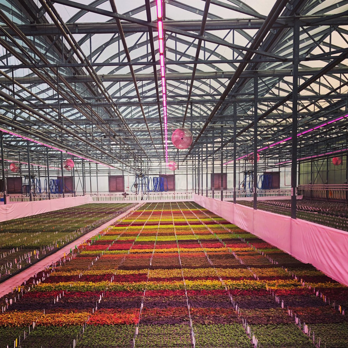 JeffreyLuke's tweet image. Greenhouses can be quite beautiful.