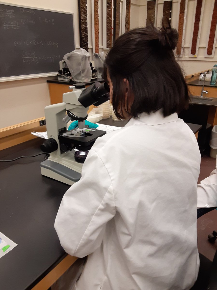 Astroeco_Morgan's tweet photo. #SoilEcology Examining morphological characteristics of #bacteria and #fungi using #gramstaining techniques (gram positive bacteria appear purple, gram negative bacteria appear pinkish)
(4/5)
#CornellSCS https://t.co/Rl0OeyQWng