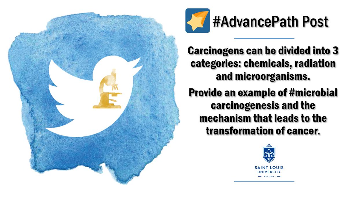 HermelinMD's tweet photo. #SLUSOMPath2020 #AdvancePath Post. Carcinogens can be divided into 3 categories: chemicals, radiation and microorganisms. Provide an example of #microbial carcinogenesis and the mechanism that leads to the transformation of cancer. https://t.co/wO1bJ4LAfP