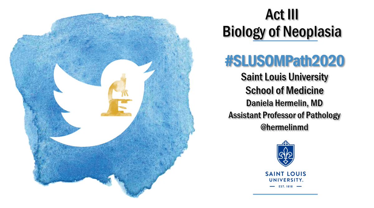 HermelinMD's tweet photo. #SLUSOMPath2020, Act III, Scene I. Dr. Brink discussed the Biology of #Neoplasia including the molecular basic of cancer, biology of tumor growth, and carcinogenic agents. Let's recap on topics. 👇🏽Follow the #tweetorial below. https://t.co/psYVXdNTJj