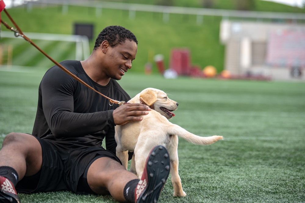 REDBLACKS's tweet photo. They grow up so fast!

Happy first birthday to the #RPuppies 🐶

#RNation https://t.co/okMgj7J4eP