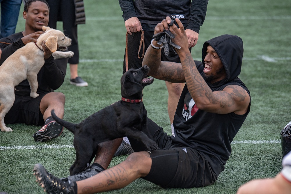 REDBLACKS's tweet photo. They grow up so fast!

Happy first birthday to the #RPuppies 🐶

#RNation https://t.co/okMgj7J4eP