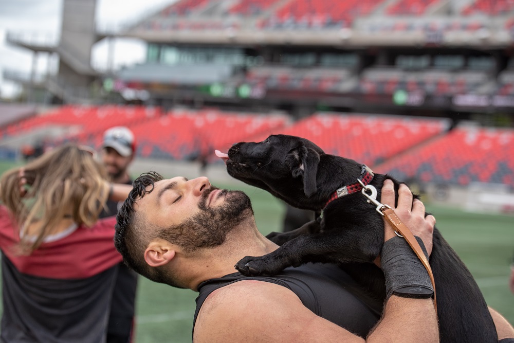 REDBLACKS's tweet photo. They grow up so fast!

Happy first birthday to the #RPuppies 🐶

#RNation https://t.co/okMgj7J4eP