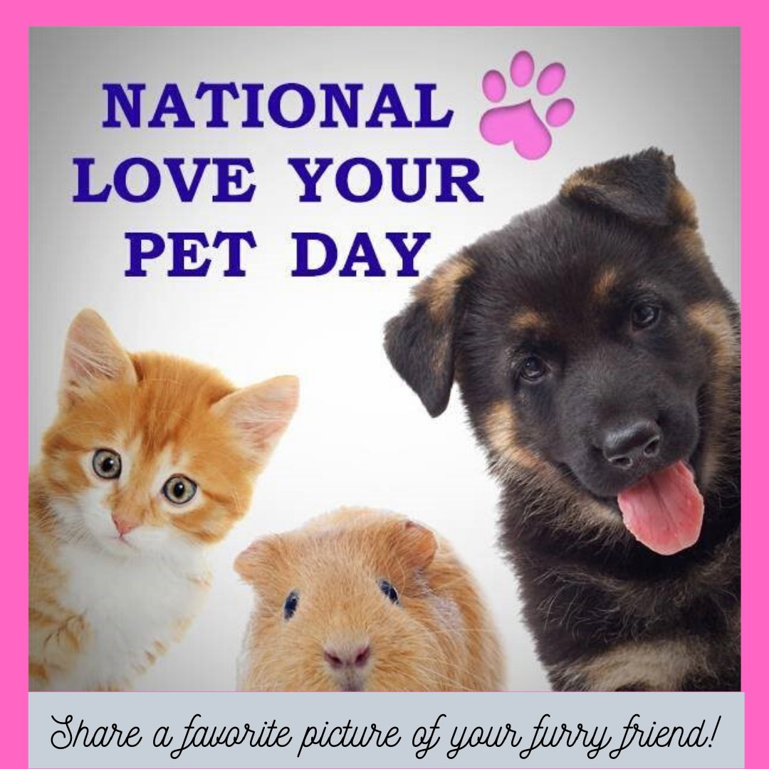 UnitedWayMCO's tweet photo. Today we celebrate National Love Your Pet Day

Post a pic of your favorite furry friend!

#LiveUnited #fourleggedfriends https://t.co/4CaafMtFoK