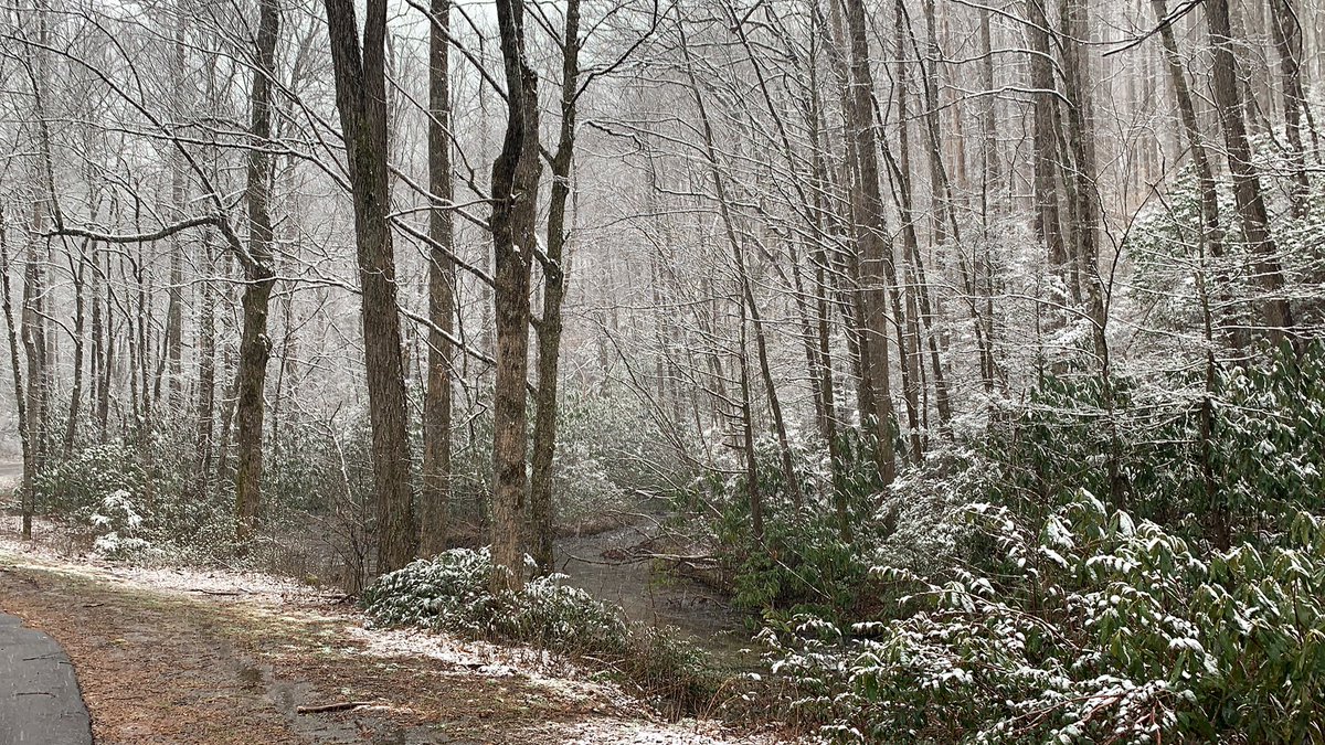 HendoLife's tweet image. #winterstormnash #hendolife #snowday #pisgahforest @WLOS_13 @BlueRidgeNow