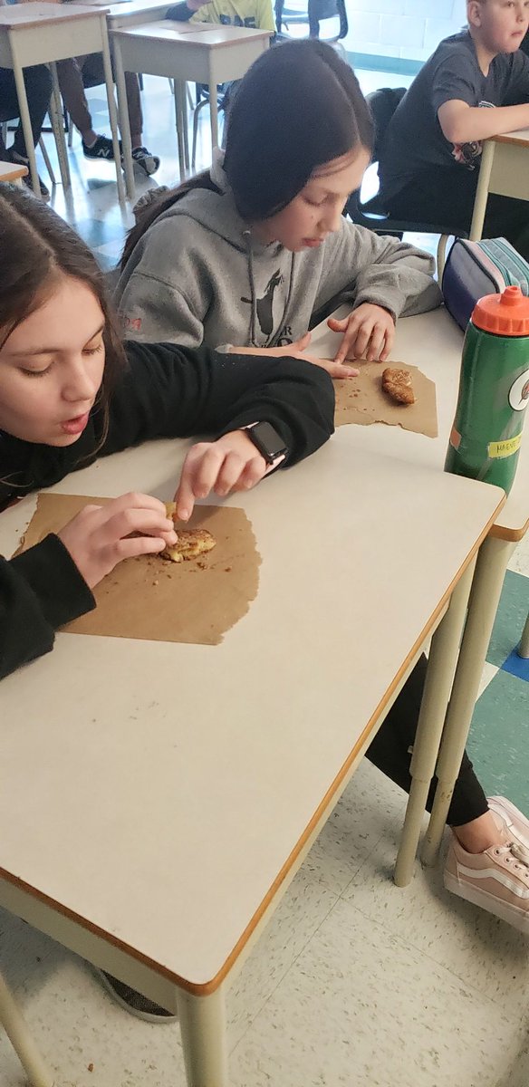 Ms_Hankinson6's tweet photo. While discussing Canadian stereotypes with my students, I came to find out that most of my students had never tried a BeaverTail before. I had to make it happen. So my wonderfully awesome TA made some from scratch and the kids got to try them. They loved them! @MCSGophers https://t.co/eQuTDquoUE