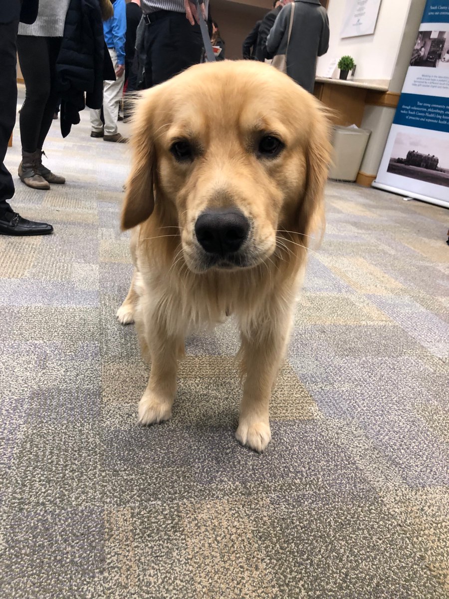 SRI Chamber tweet media