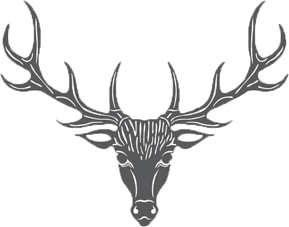 Moshi Moshi tweet media