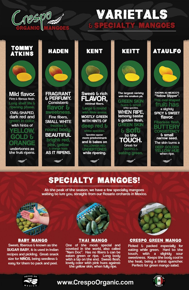 CrespoMangoes's tweet image. The flavor, texture, color, and sweetness level of a #mango is different for each variety! Which one is your favorite???
Ataulfos are here, and Tommy Atkins will be coming up in March!

#atkins #haden #kent #ataulfo #thaimango
 #muchosmangoes #YUM