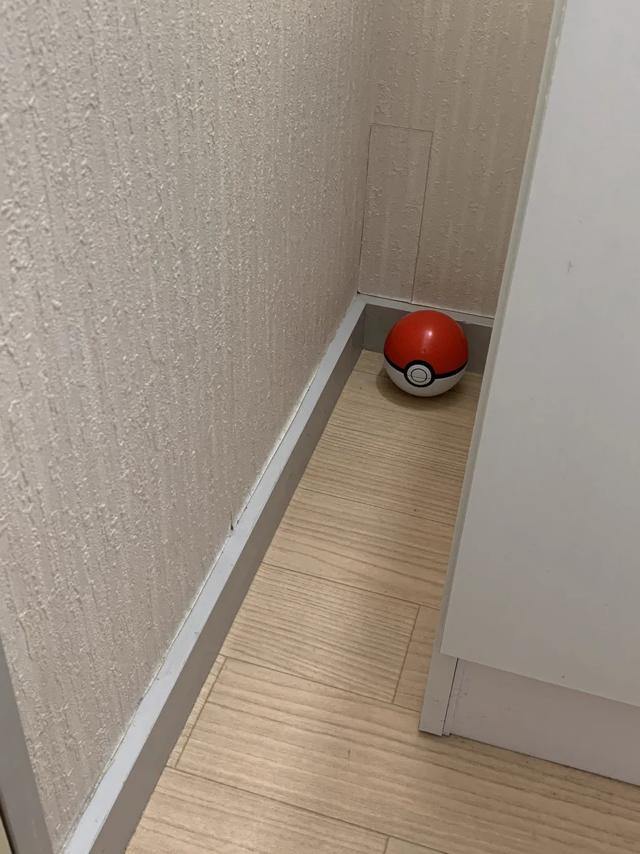 ポケモンやってる人ならわかる？分かりづらい場所にある道具の再現www