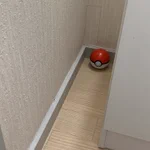 ポケモンやってる人ならわかる？分かりづらい場所にある道具の再現!