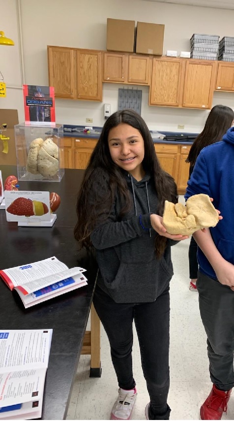 The Pinnacle tweet media