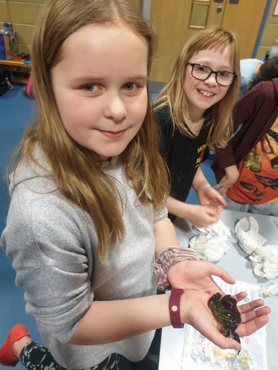 Live Well North East tweet media