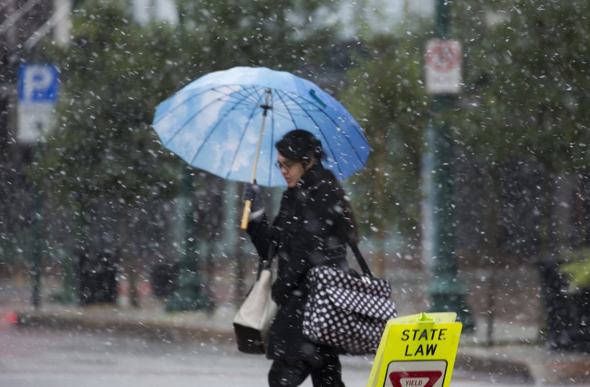 virginianpilot's tweet photo. Snnnnooooooow https://t.co/GETEH71hHB
(Photos by L. Todd Spencer and Kristen Zeis) https://t.co/noeawnVXh2