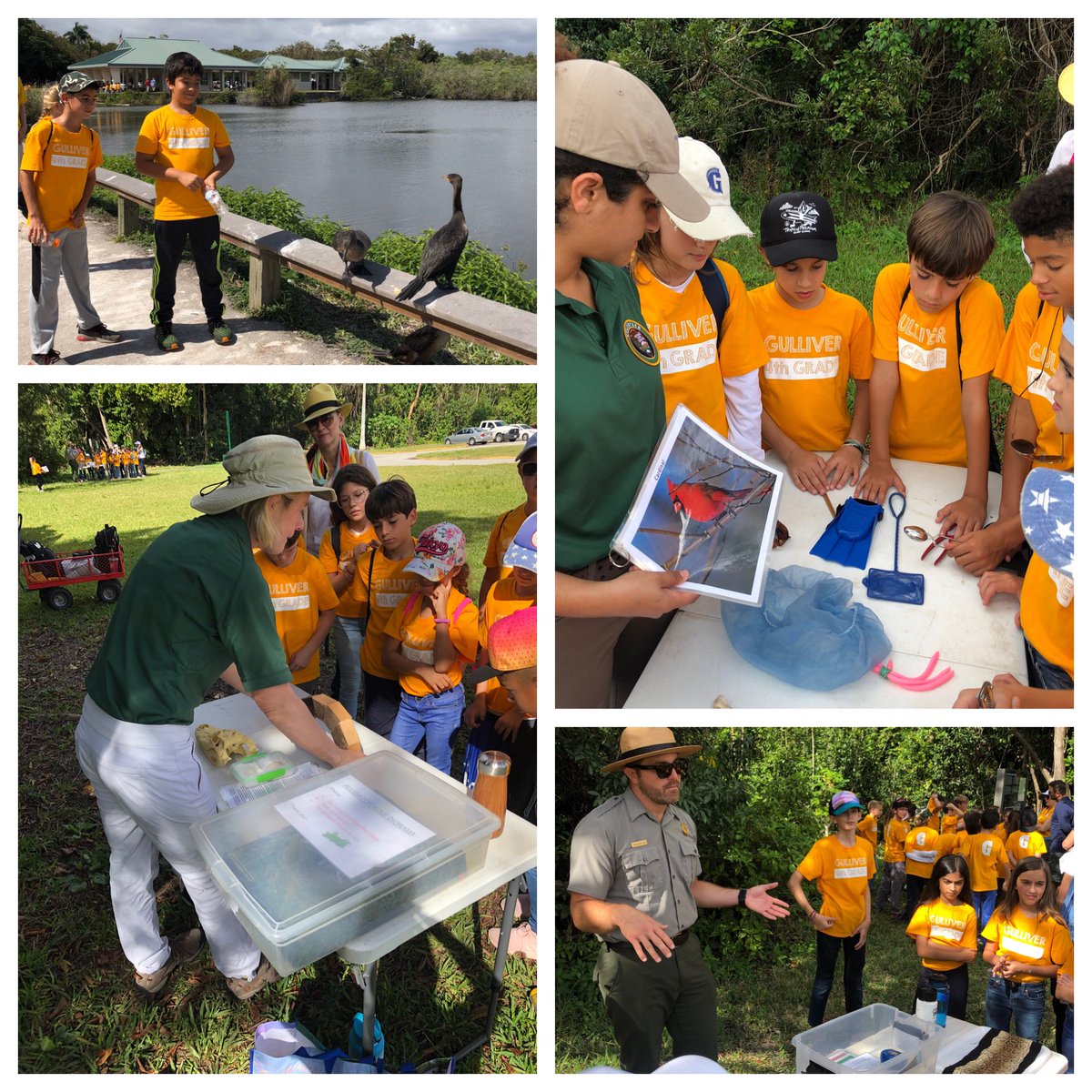 4th Ss visit the Anhinga Trail to explore, investigate, and form opinions on how to preserve our unique Everglades. #gslearning #NGSS #NSTA <a href="/EvergladesNPS/">Everglades National Park</a>