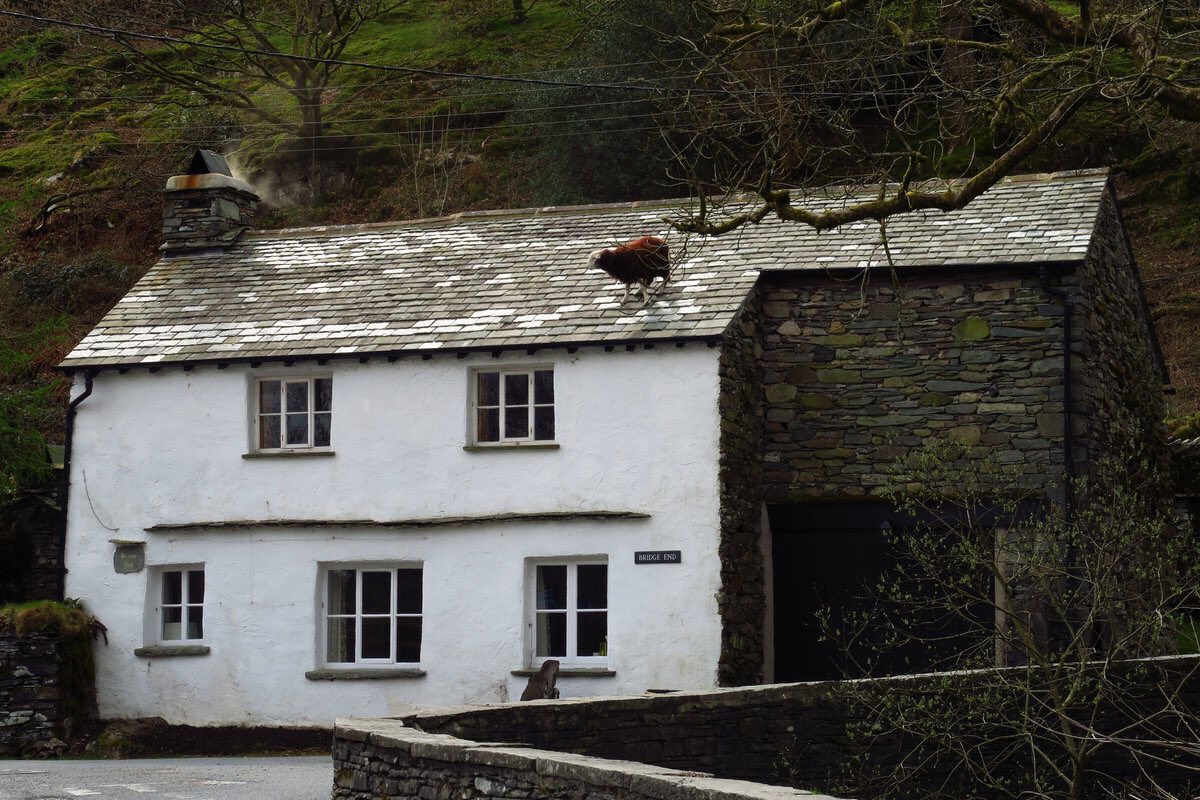 Elterwater Hostel tweet media