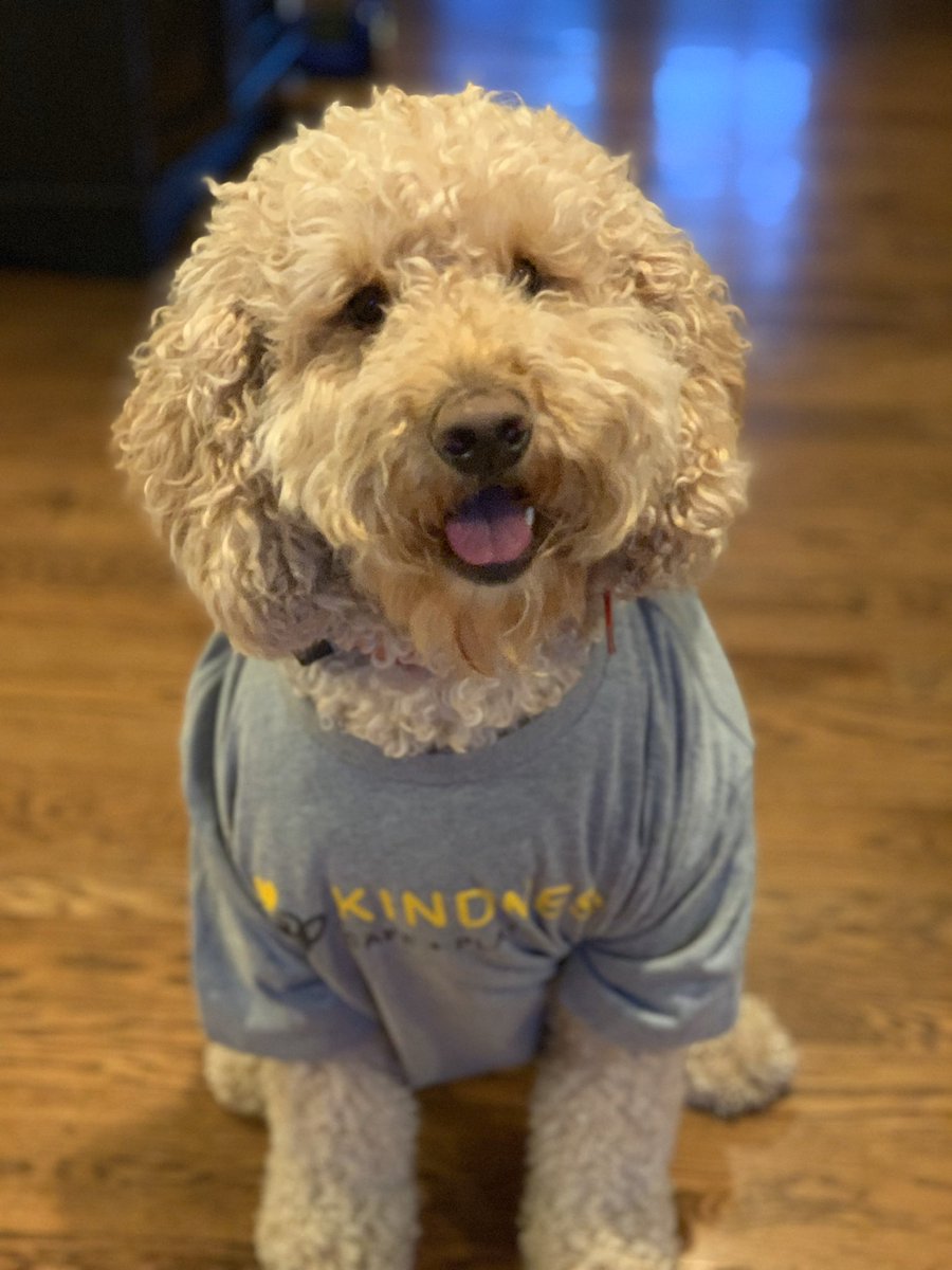 Happy #LoveYourPetDay! Pets love Kindness too!