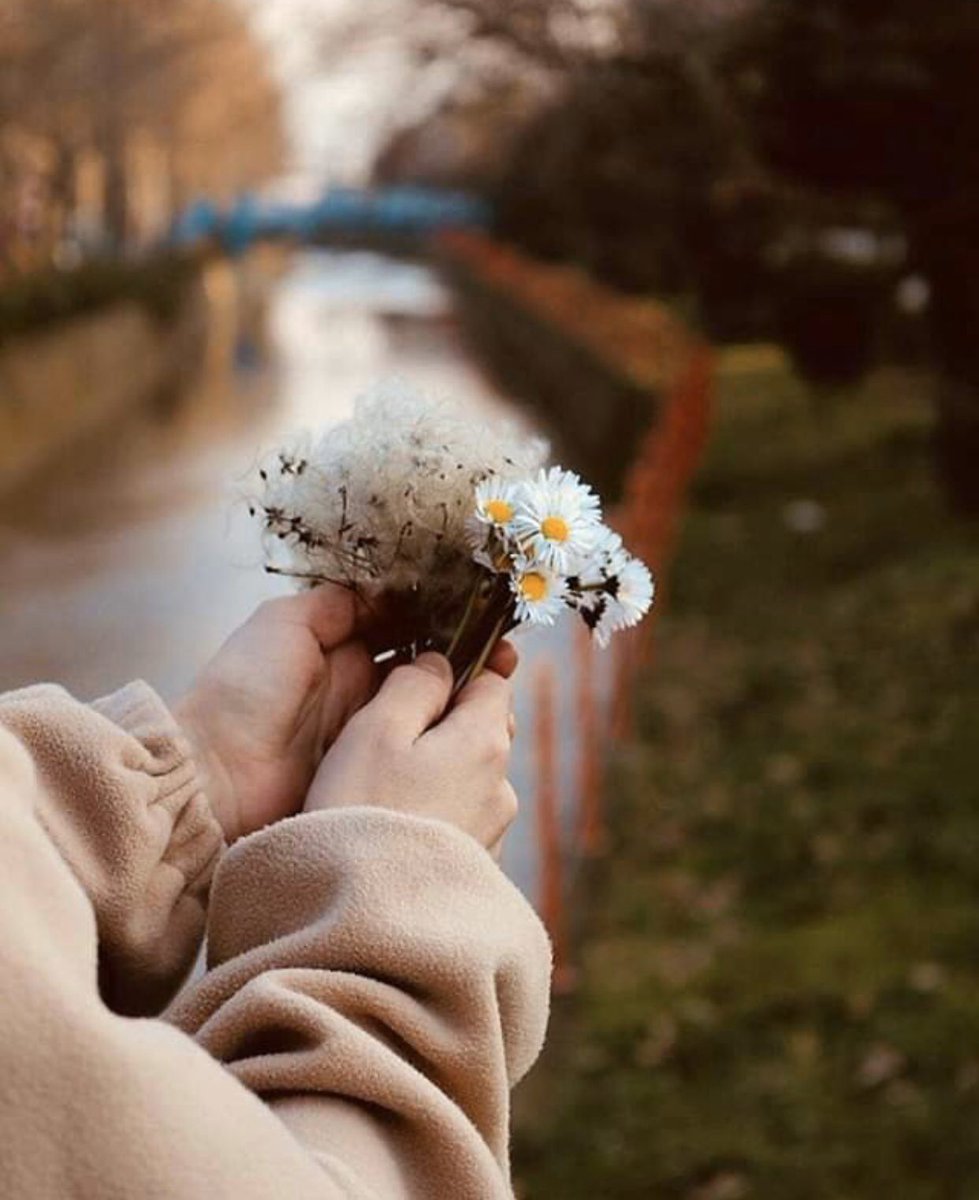 ما ﻻ يرتاح له قلبك ﻻ تثق به أبدًا  فالقلب أبصر من العين