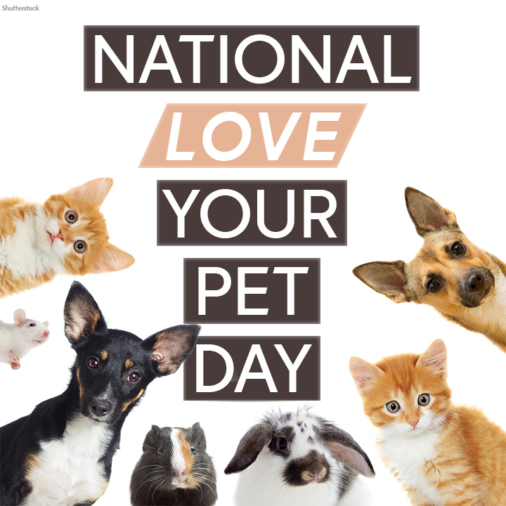 how do you celebrate national love your pet day