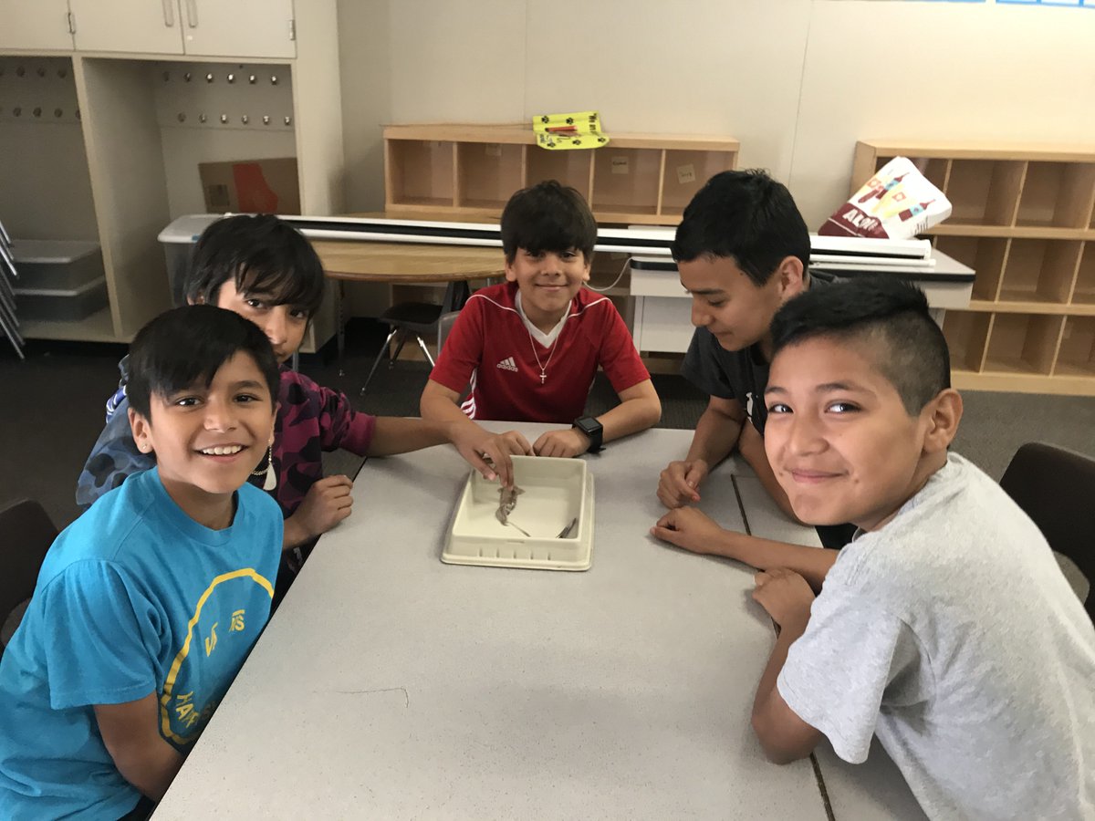 LoaraElementary's tweet photo. Squid dissection in action, our students learn the basics of squid anatomy and physiology by conducting a squid dissection. What an experience!
@AnaheimElem #squiddissection @LoaraElementary #loaraleopards #roundhouseaquarium https://t.co/qL3SuyW6uL