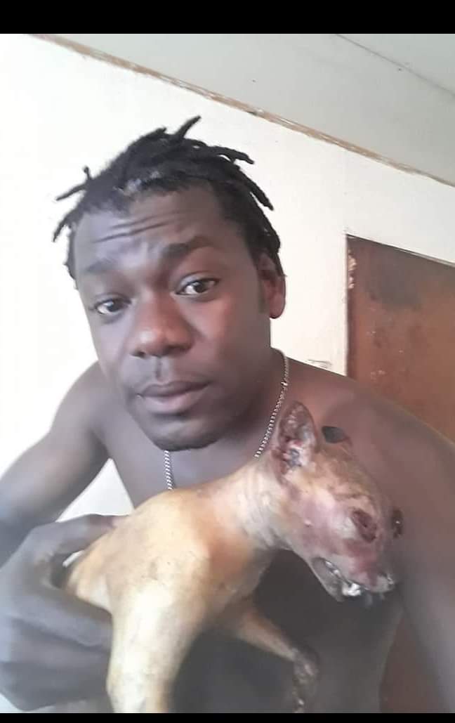 ErwinSenderismo's tweet image. Colegas @PDI_CHILE me ha llegado esta información, sobran comentarios, favor realizar las pesquizas a qué de lugar.
#MaltratoAnimal