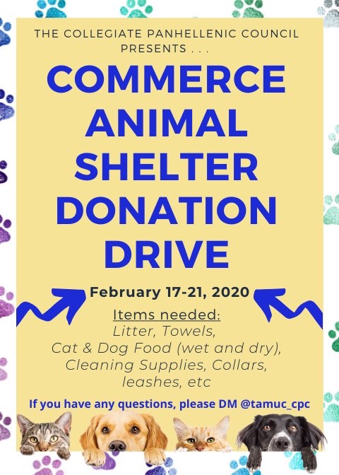 gammaphitamuc's tweet photo. It’s National Love Your Pet Day! 🐾Donate to the Commerce Animal Shelter to share a little love to the fur babies in need.💗 #PETDAY #donate #gphi #trueandconstant #tamuc23 #tamuc24 https://t.co/Xt4meEaWZ9