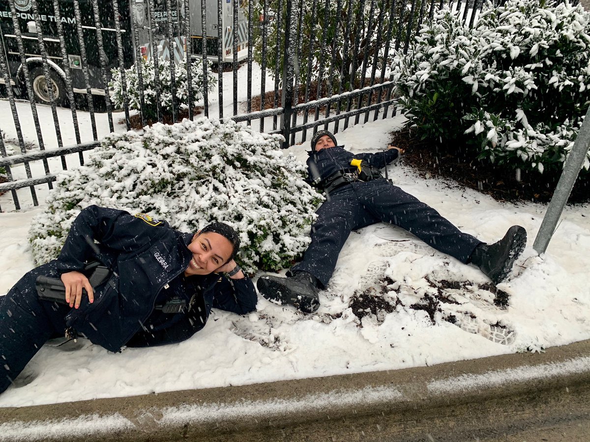 ApexPolice's tweet photo. Feeling cute.....might take a report later....👮♀️💙❄️ https://t.co/MUIxhx8Q6H