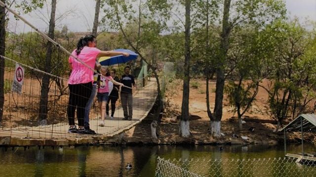 ZacatecasTravel's tweet image. 👷‍En el Parque Ecológico Mina Turística Fresnillo en tu viaje a #ZacatecasDeslumbrante también puedes lanzarte de la tirolesa o dar un paseo en 🛶kayak. También es hogar de un pequeño centro de rescate de animales salvajes; 🐯 tigres de bengala, leones, coyotes, halcones y más.