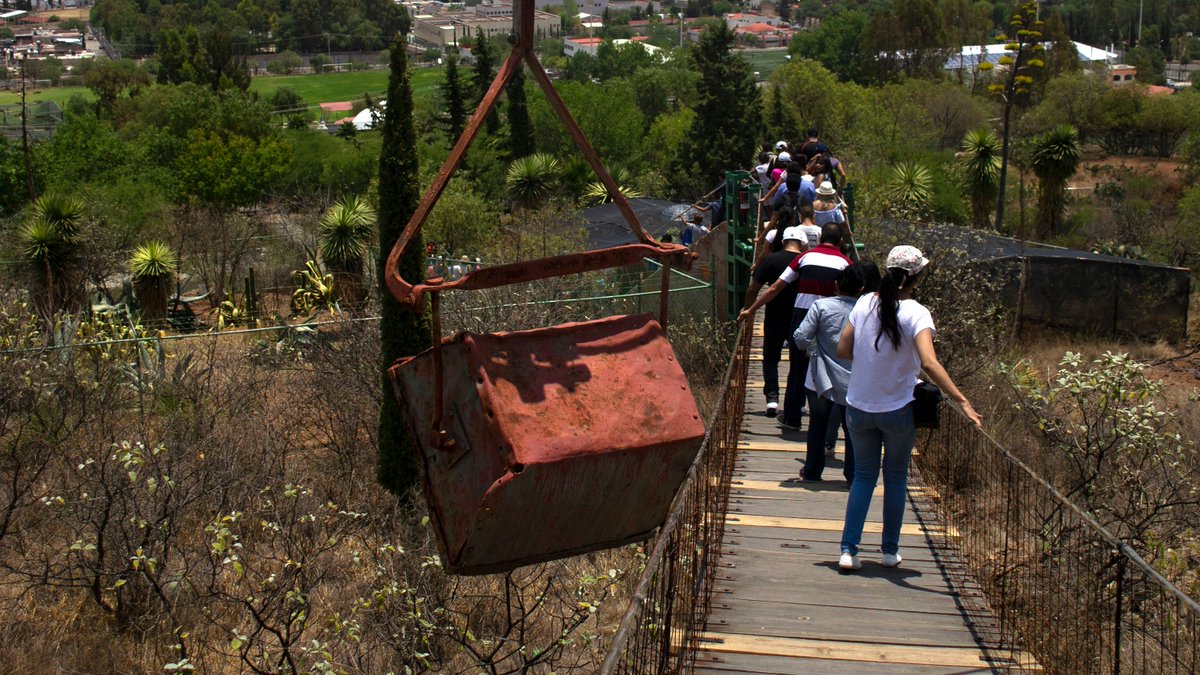 ZacatecasTravel's tweet image. 👷‍En el Parque Ecológico Mina Turística Fresnillo en tu viaje a #ZacatecasDeslumbrante también puedes lanzarte de la tirolesa o dar un paseo en 🛶kayak. También es hogar de un pequeño centro de rescate de animales salvajes; 🐯 tigres de bengala, leones, coyotes, halcones y más.