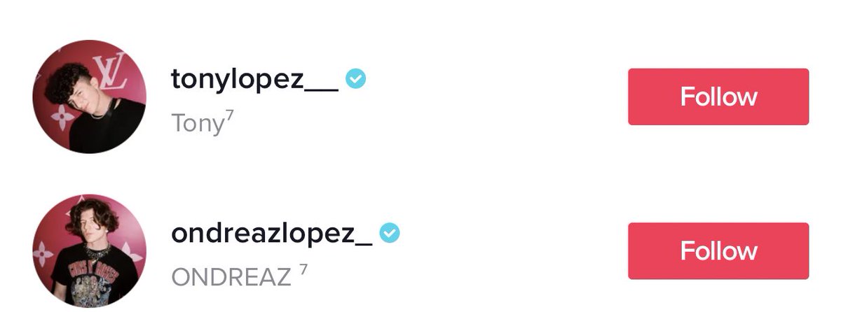 Cynthia On Twitter Okay Now What Goes On All Of The Hype House