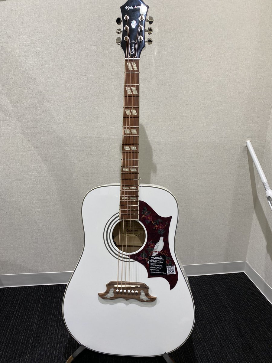 エピフォン Dove Pro アコースティックギター 白色