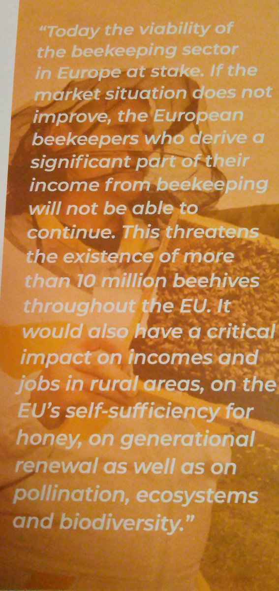 Janis__T's tweet image. EPBA - European professional beekeepers association meating. Honey price. Fake honey from non EU. Adultared bee wax problems in DE market.